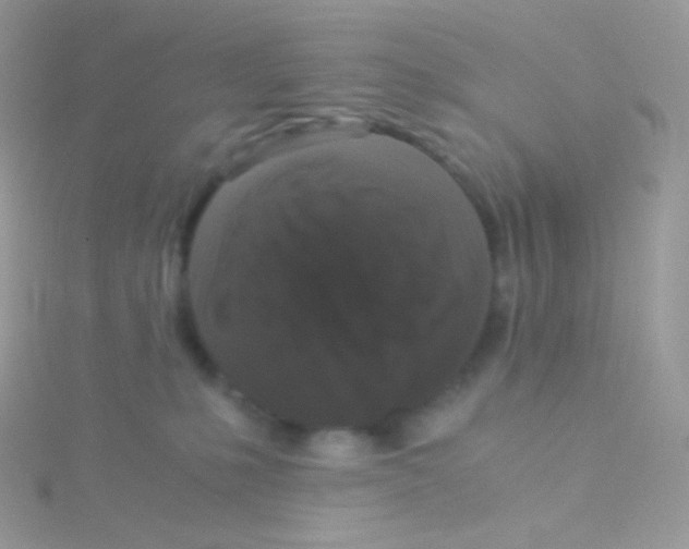 X0000115040231200911231139