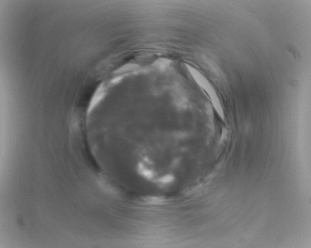 X0000115040233200911231139