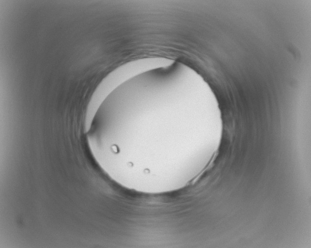 X0000115040235200911231139