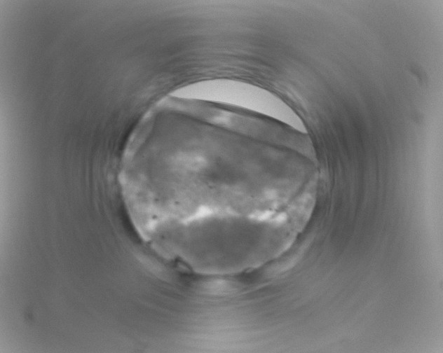 X0000115040237200911231139