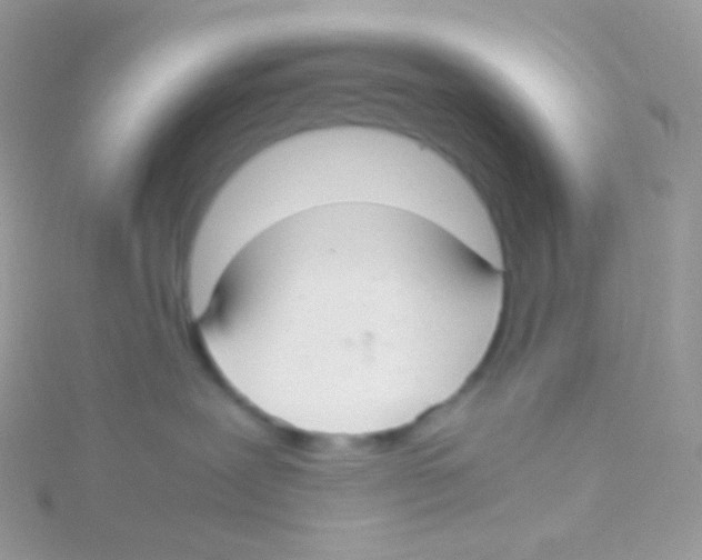 X0000115040239200911231139