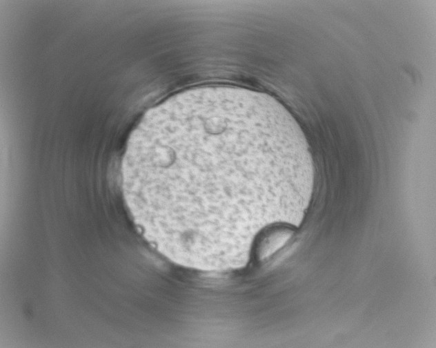 X0000115040240200911231139