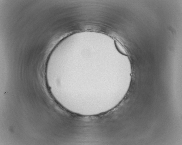 X0000115040241200911231138