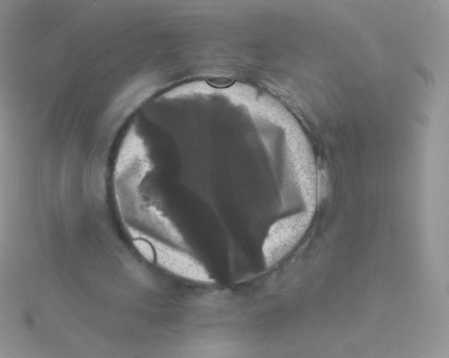 X0000115040243200911231138