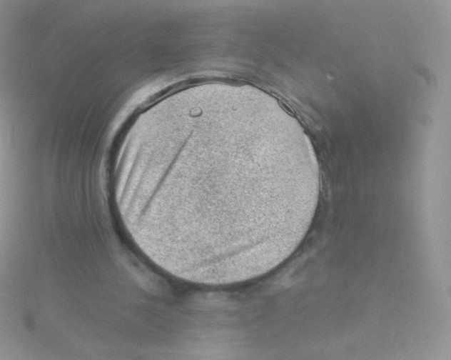 X0000115040244200911231138