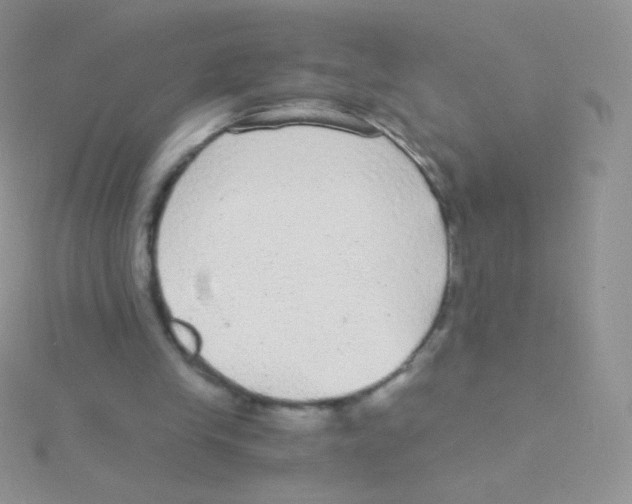 X0000115040245200911231138