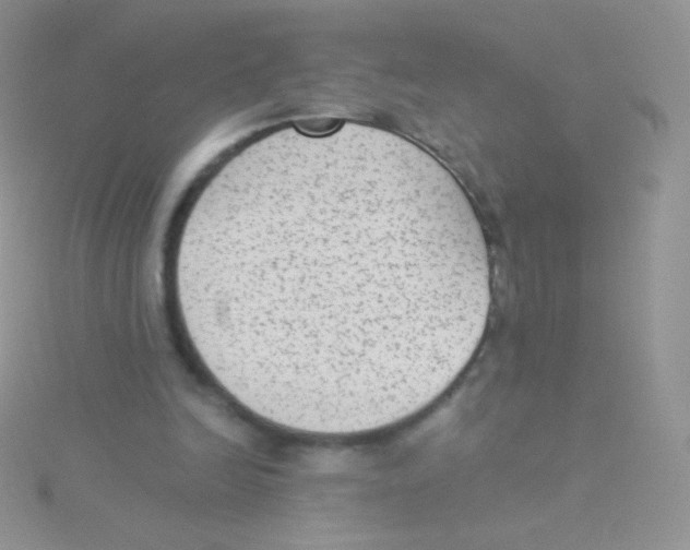 X0000115040246200911231138