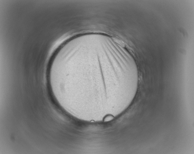 X0000115040248200911231138