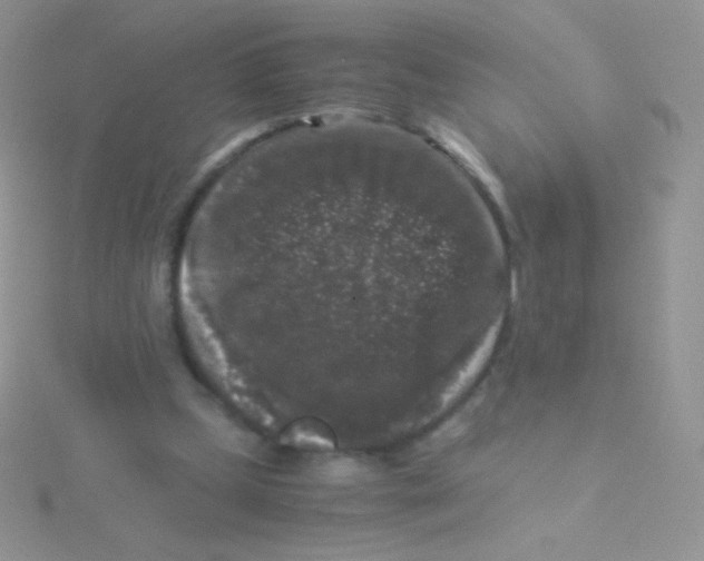 X0000115040249200911231138