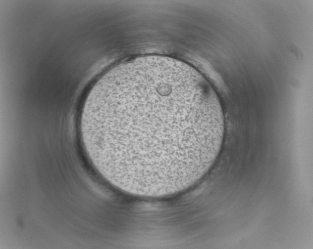 X0000115040250200911231138