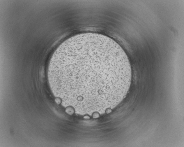 X0000115040251200911231138