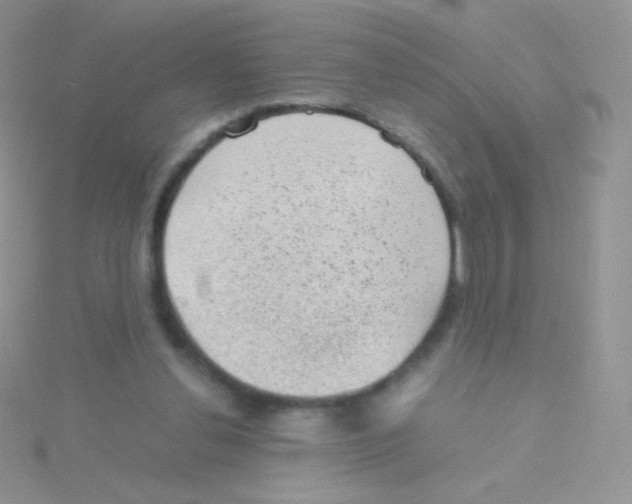 X0000115040252200911231138