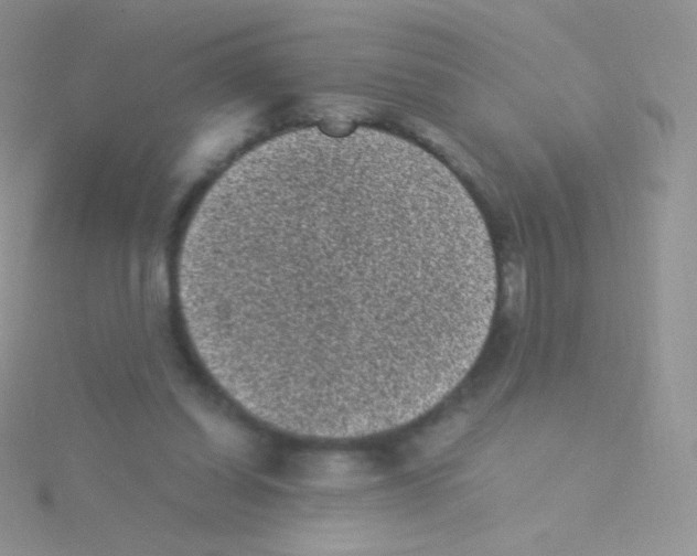 X0000115040254200911231138