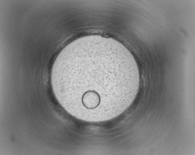 X0000115040255200911231138