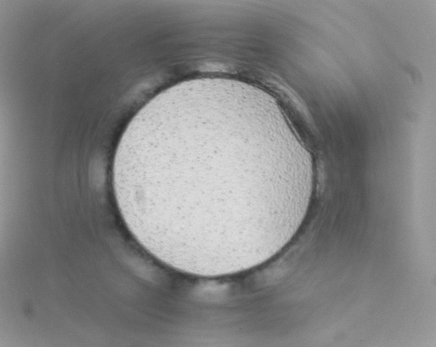 X0000115040257200911231138