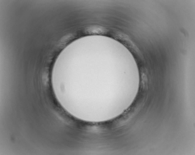 X0000115040259200911231138