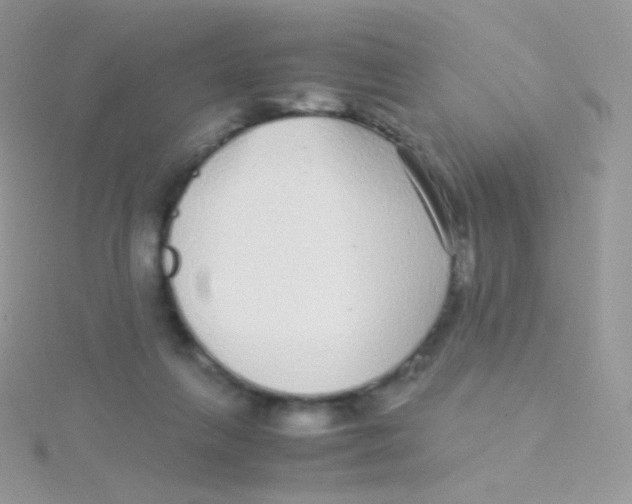 X0000115040263200911231139