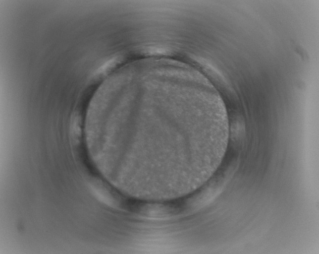 X0000115040264200911231139