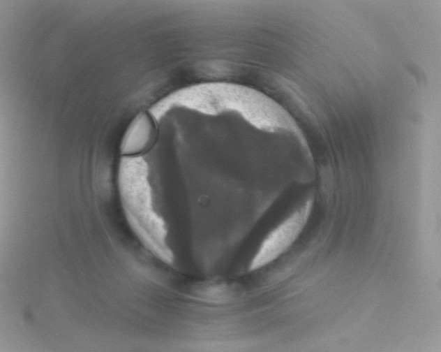 X0000115040267200911231139