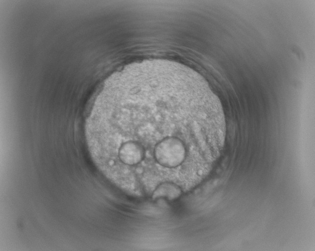 X0000115040270200911231139