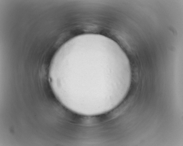 X0000115040273200911231139