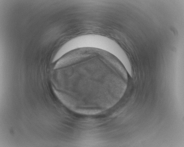 X0000115040276200911231139