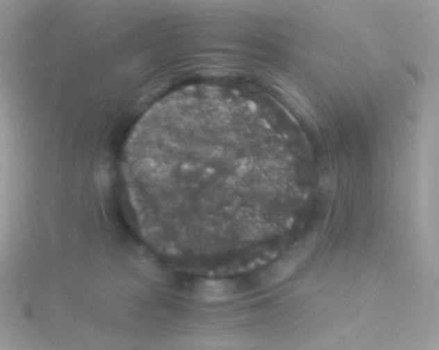 X0000115040277200911231139