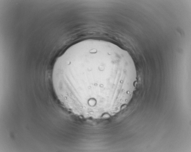 X0000115040278200911231139