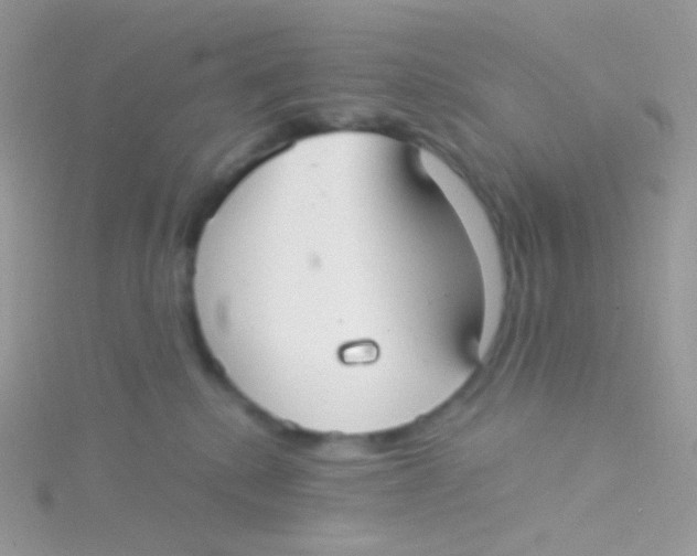 X0000115040280200911231139