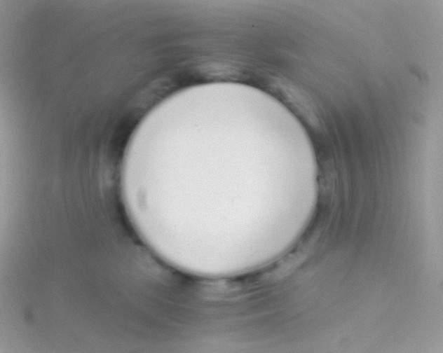 X0000115040281200911231139