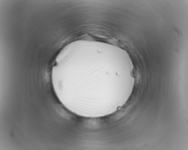 X0000115040282200911231139