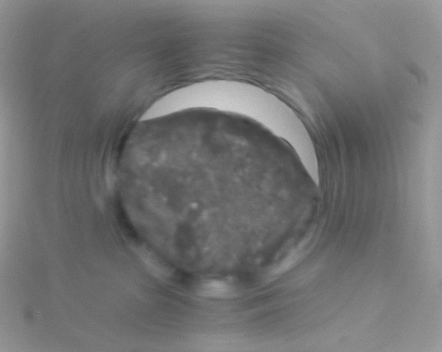 X0000115040285200911231139