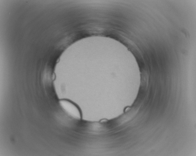 X0000115040287200911231139