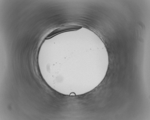 X0000115040289200911231138