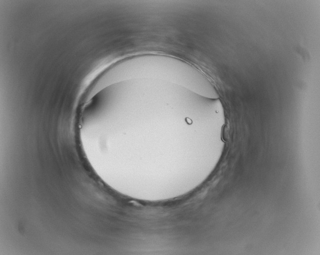 X0000115040292200911231138