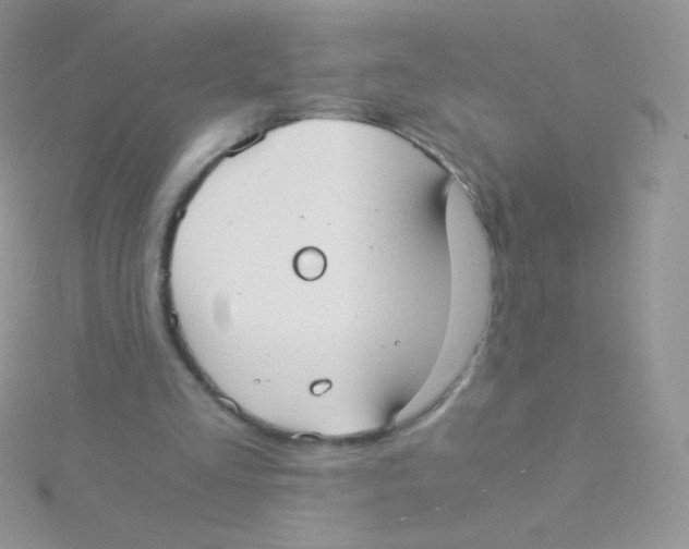 X0000115040293200911231138