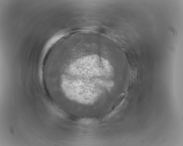 X0000115040294200911231138