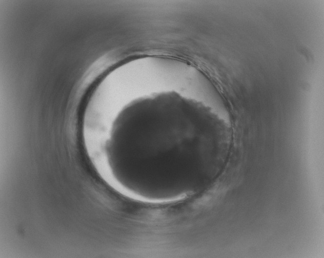 X0000115040295200911231138