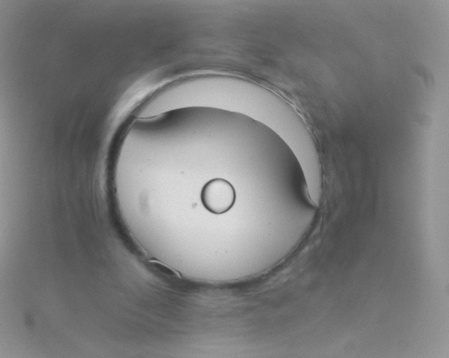 X0000115040296200911231138