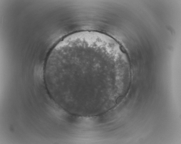 X0000115040297200911231138