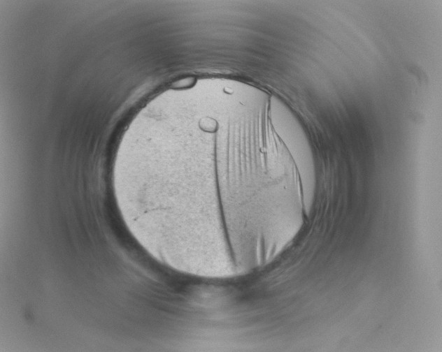 X0000115040300200911231138