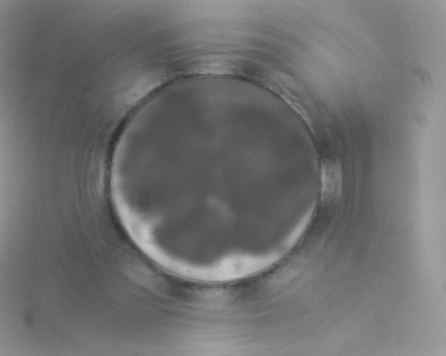 X0000115040301200911231138