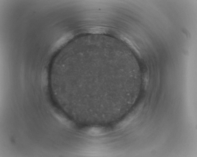 X0000115040303200911231138