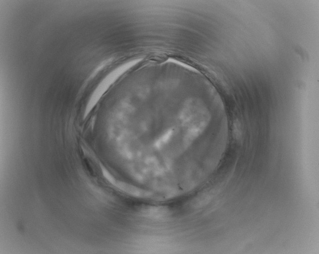 X0000115040304200911231138