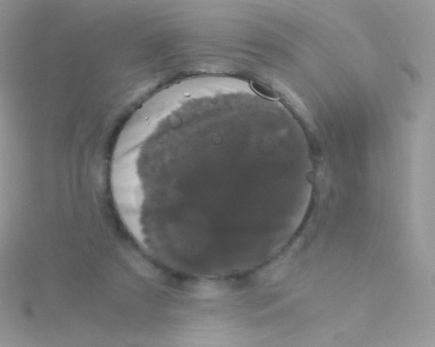 X0000115040305200911231138