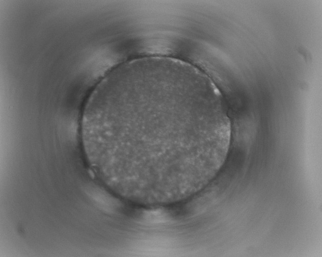 X0000115040309200911231138