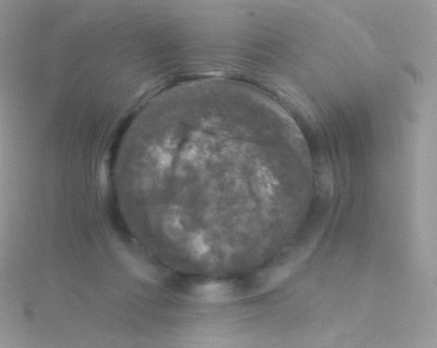 X0000115040312200911231138