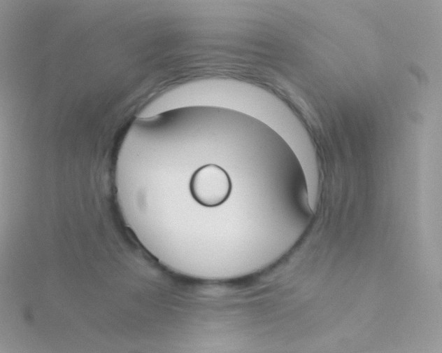 X0000115040313200911231138