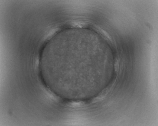 X0000115040314200911231138