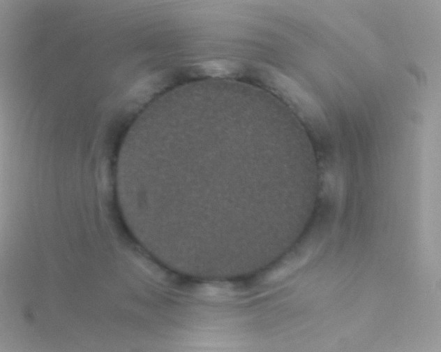 X0000115040317200911231138